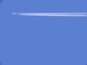 AIRPLANE-ONE