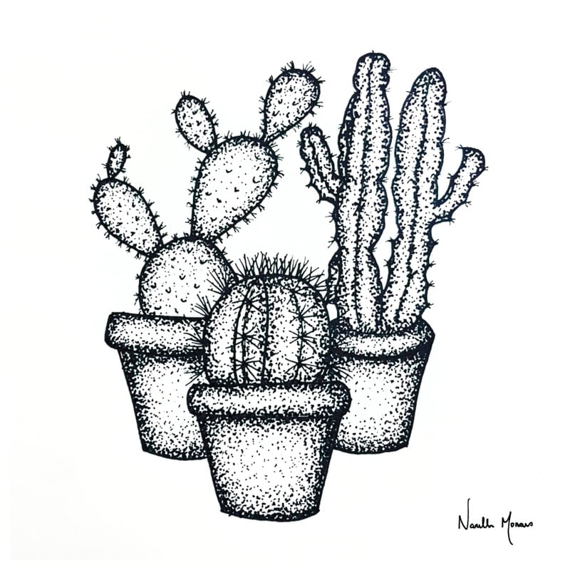 MINI CACTOS