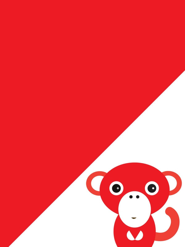 INTERNACIONAL MACAQUINHO