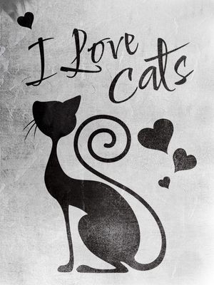 GATO AMOR