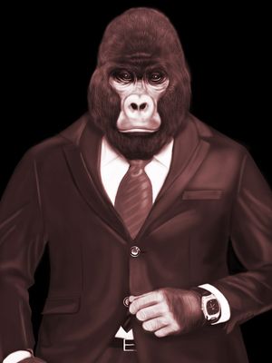 GORILLA RED