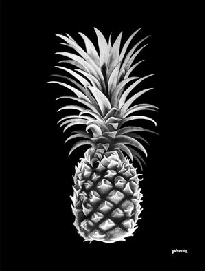 ARTISTIC PINEAPPLE