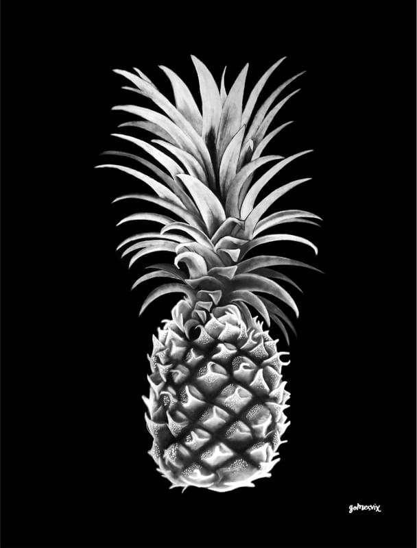 ARTISTIC PINEAPPLE