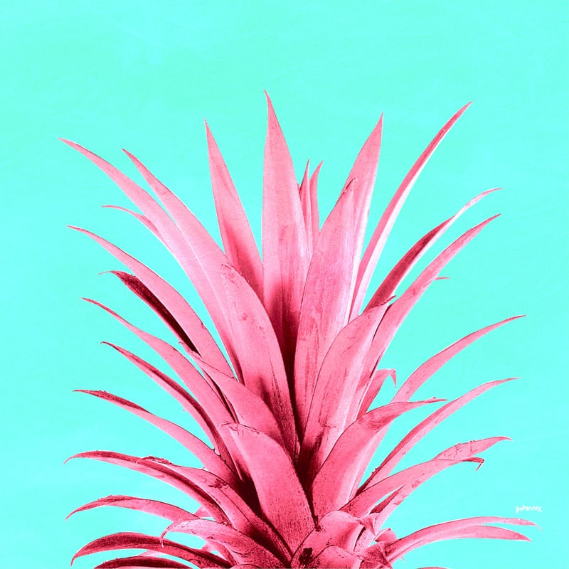 PINEAAPLE POP II