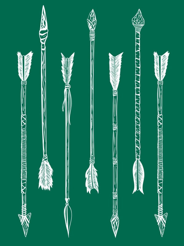 GUARANI FLECHAS