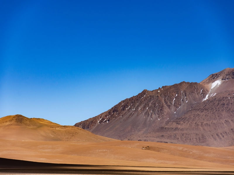 SOMBRA DO DESERTO