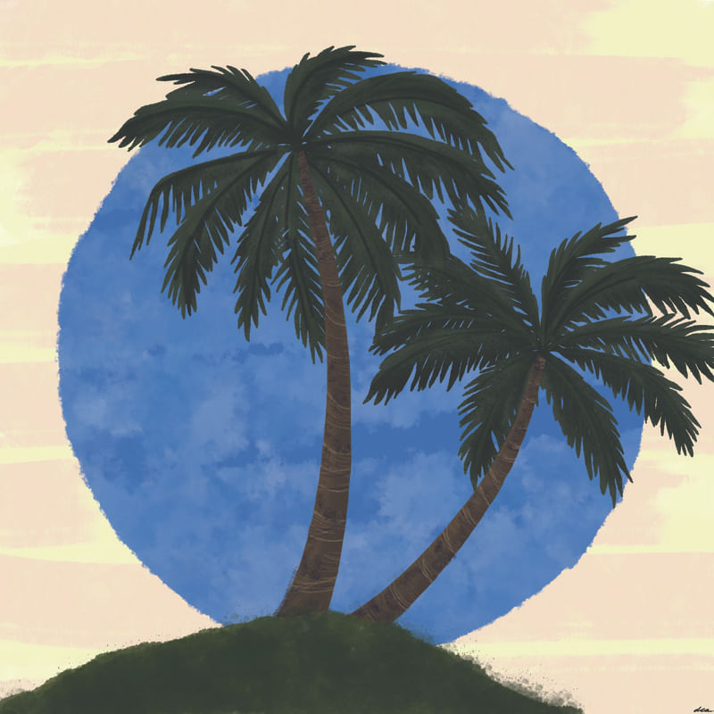 PALM FEELINGS