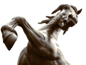 CAVALO D'ORSAY