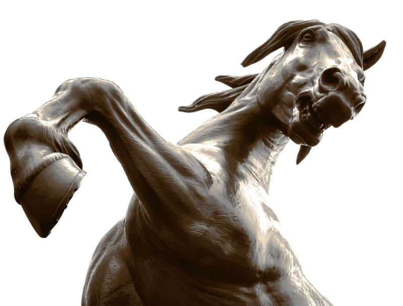 CAVALO D'ORSAY