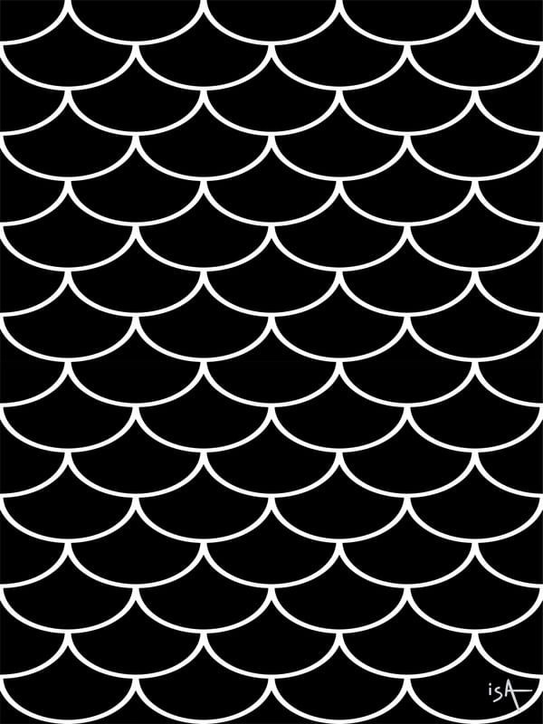 ESCAMAS PRETO E BRANCO
