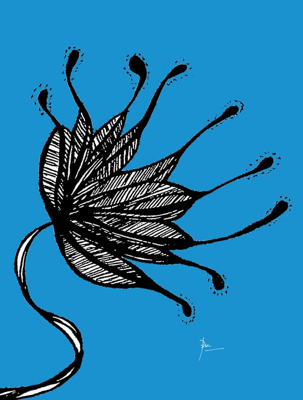 DREAM 02