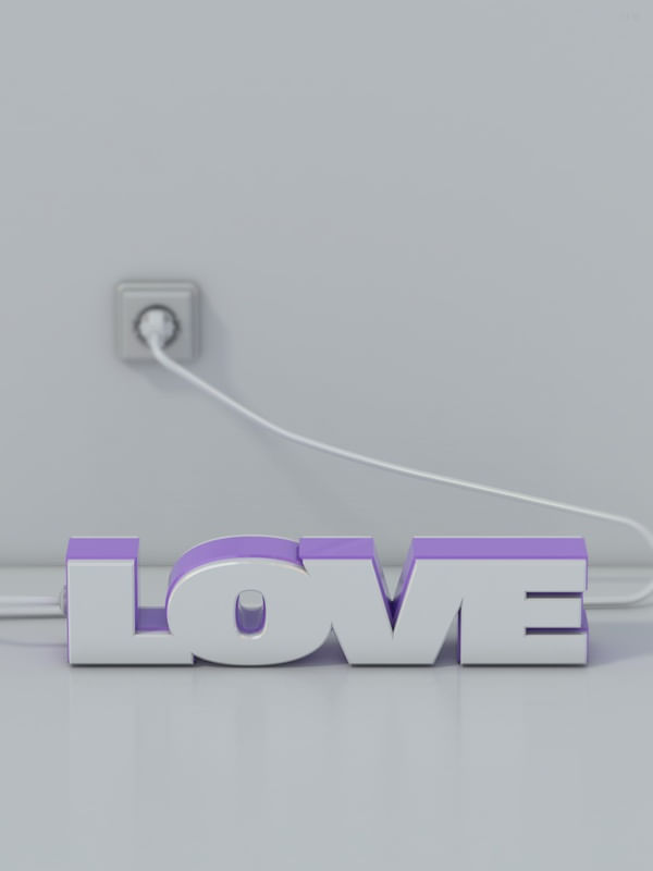 THE ELECTRIC LOVE NL