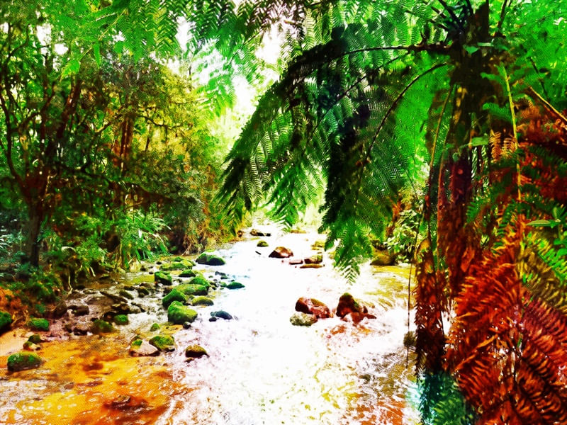 PARADISE NATURE