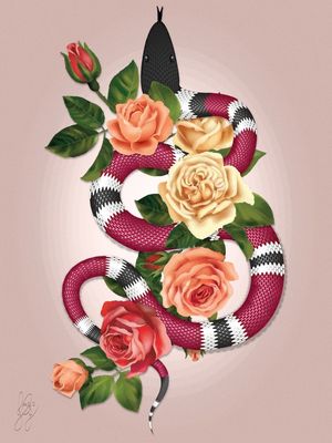 CORAL SNAKE