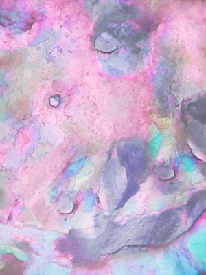 CONCHA IRIDESCENTE