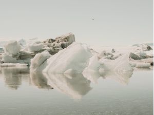 ICEBERGS XIII