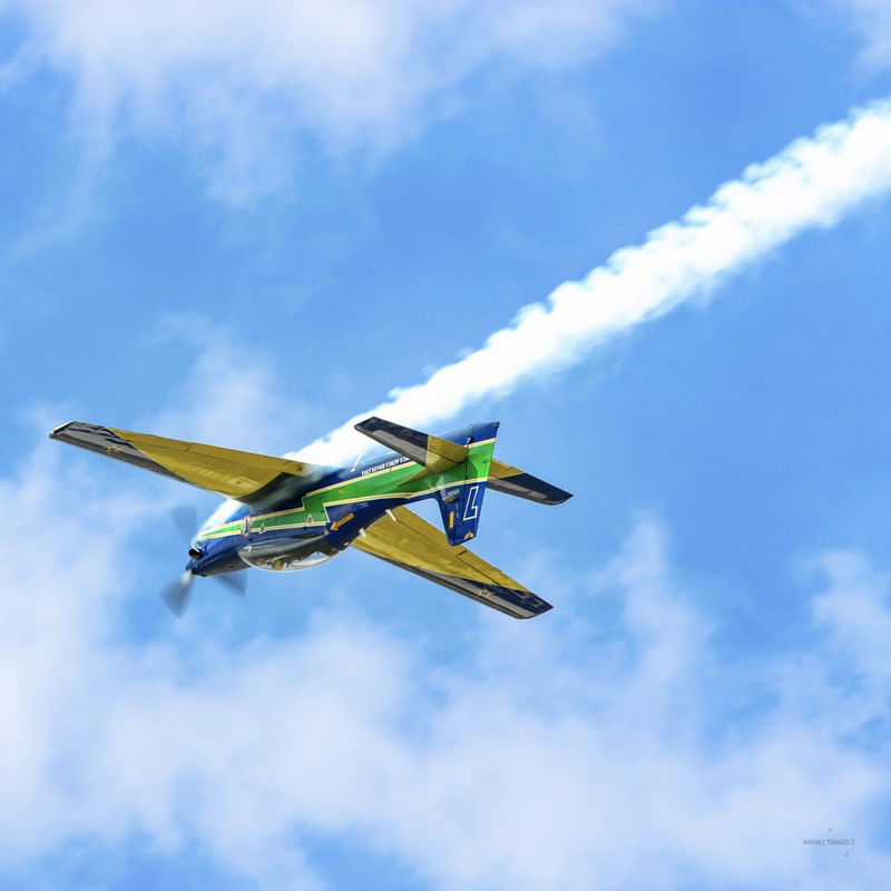 TUCANO DE CABEÇA PARA BAIXO