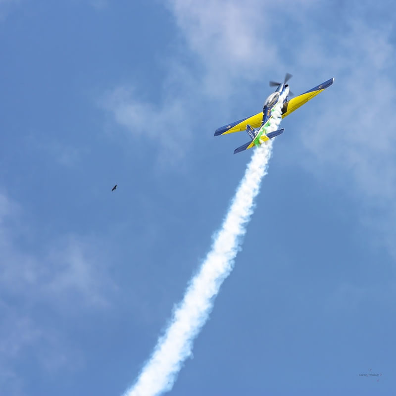 TUCANO E URUBU