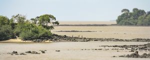 TRILHA ENTRE PEDRAS
