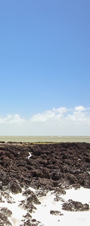 BAR, PEDRA E PRAIA - FOTOGRAFIA 02 DE 02