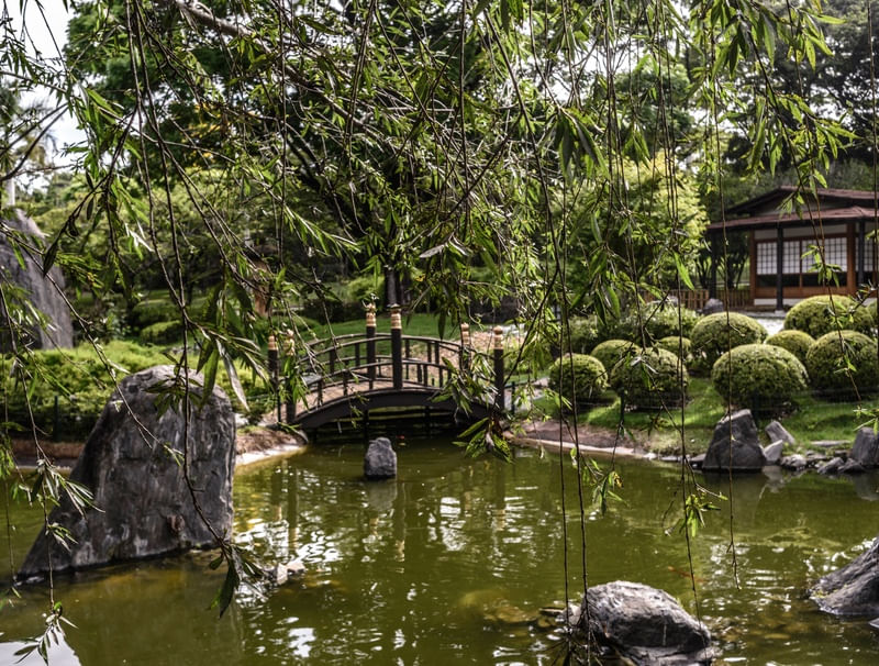 JARDIM JAPONÊS BH 3