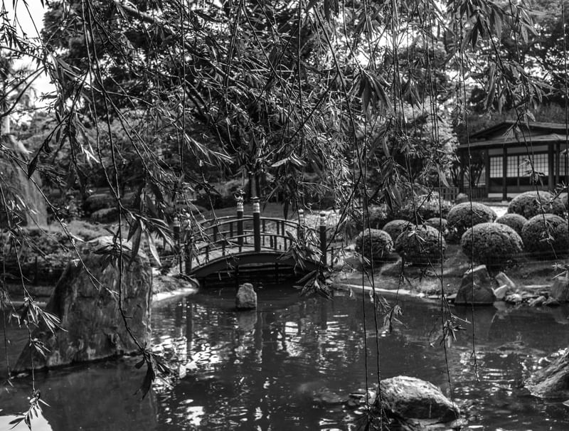 JARDIM JAPONÊS PRETO E BRANCO 2