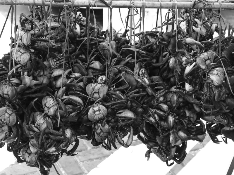 CARANGUEIJADA