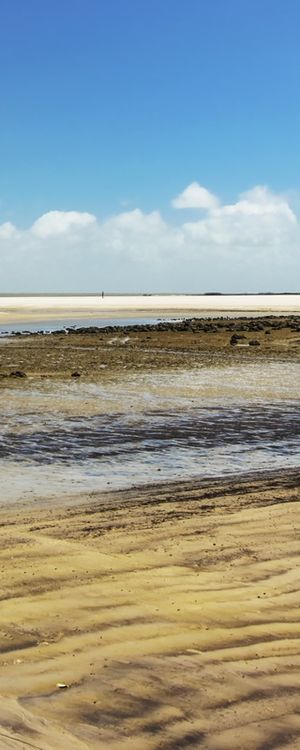 PRAIA DE ALGODOAL EM SEQUÊNCIA - 03 DE 04