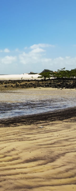PRAIA DE ALGODOAL EM SEQUÊNCIA - 04 DE 04