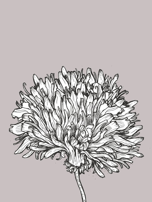 ÚNICA FLOR