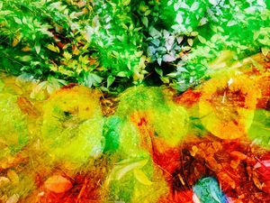 COLORFUL NATURE