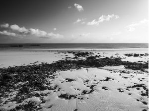 PRAIA SURREAL