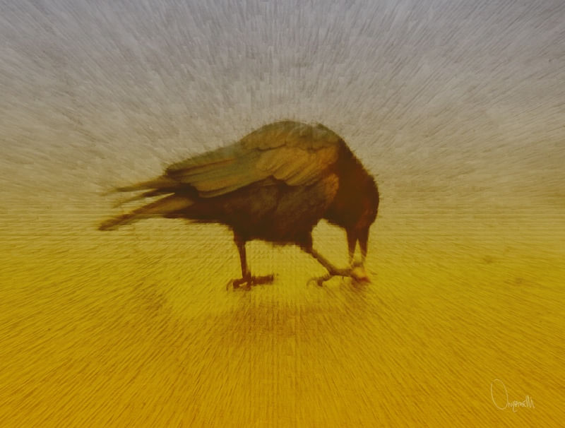 BIRD I