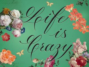 LIFE IS CRAZY 1