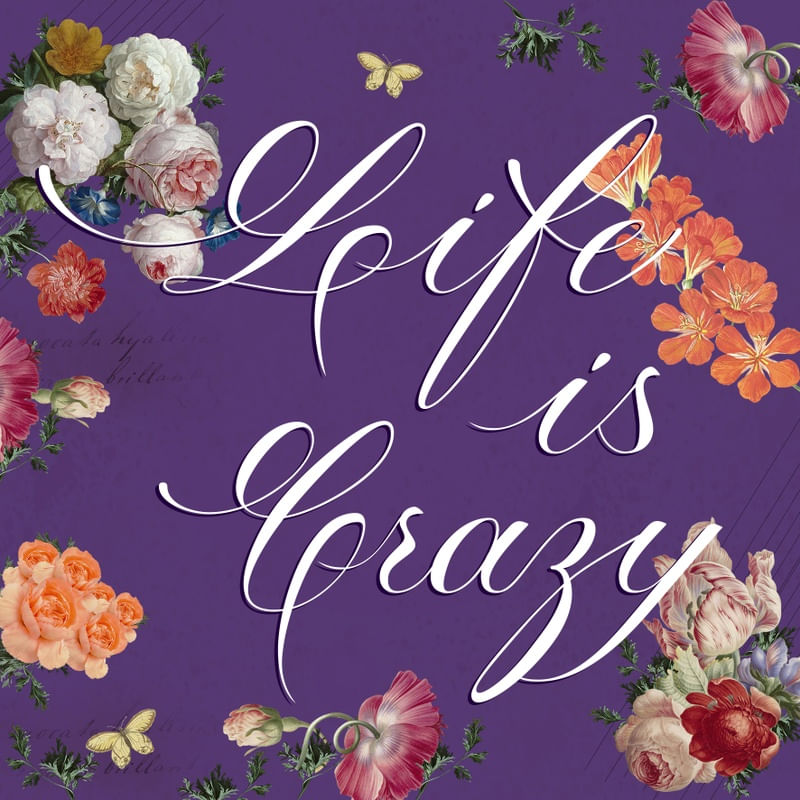 LIFE IS CRAZY 2