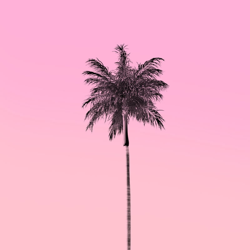 COQUEIRO TROPICAL ROSA