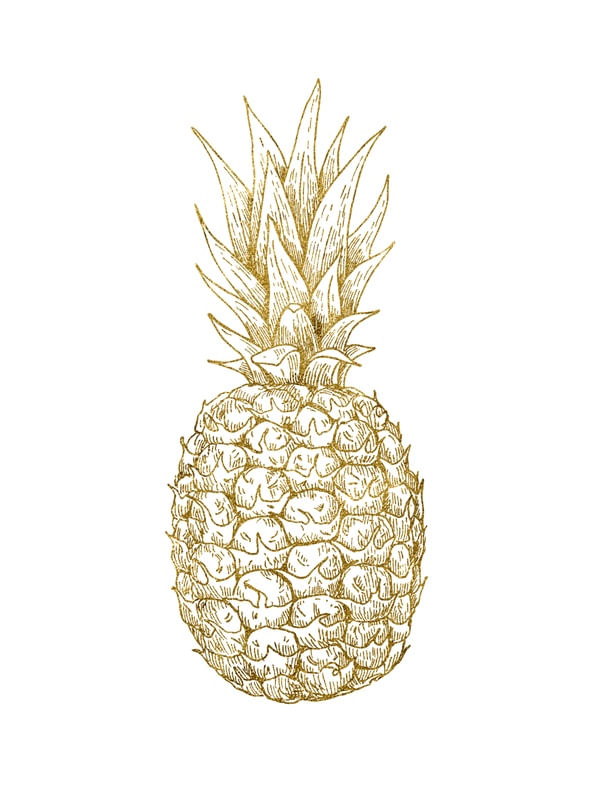 ABACAXI DOURADO E BRANCO