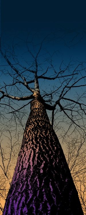GRAPHIC TREE I