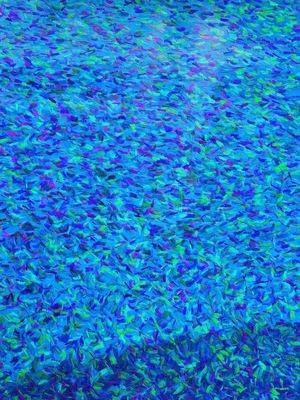 CALMA AZUL II