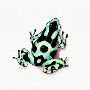 SAPO ESMERALDA