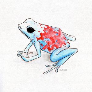 SAPO IPÊ