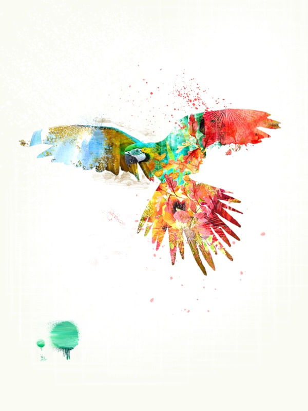 FAUNA ABSTRATA 1