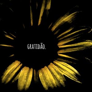 GRATIDÃO FLORES