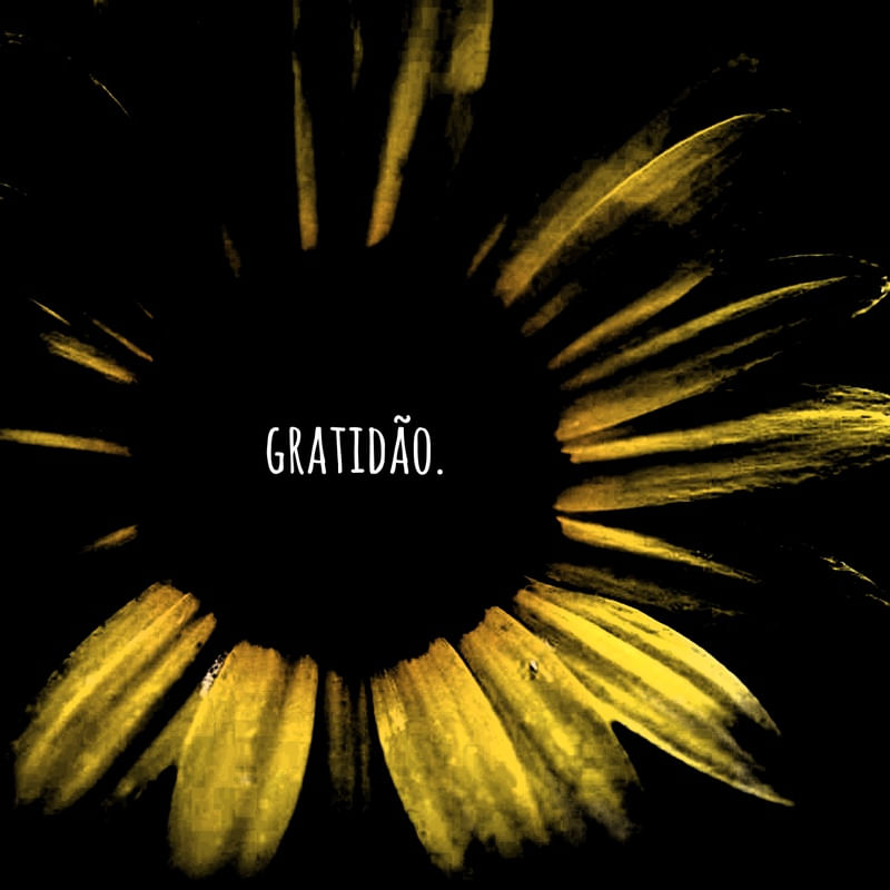GRATIDÃO FLORES