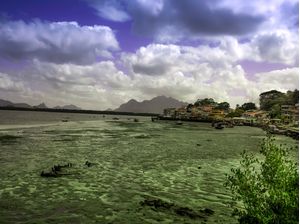 ILHA VERDE