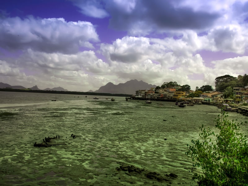 ILHA VERDE