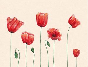 POPPIES TIME