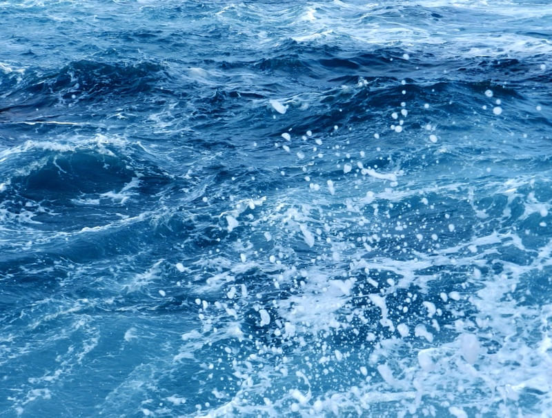 MAR DE BÚZIOS