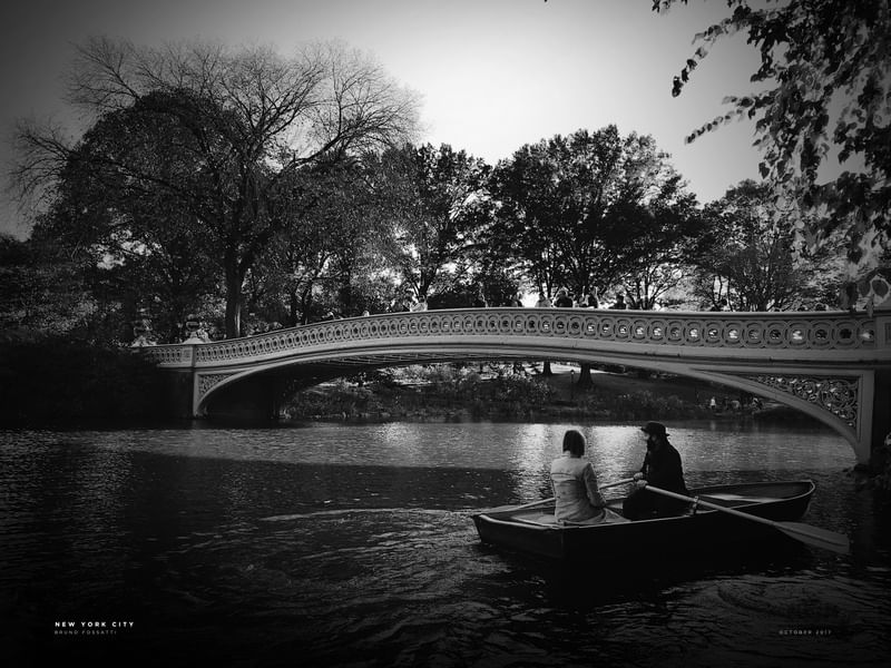 NYC ? CENTRAL PARK