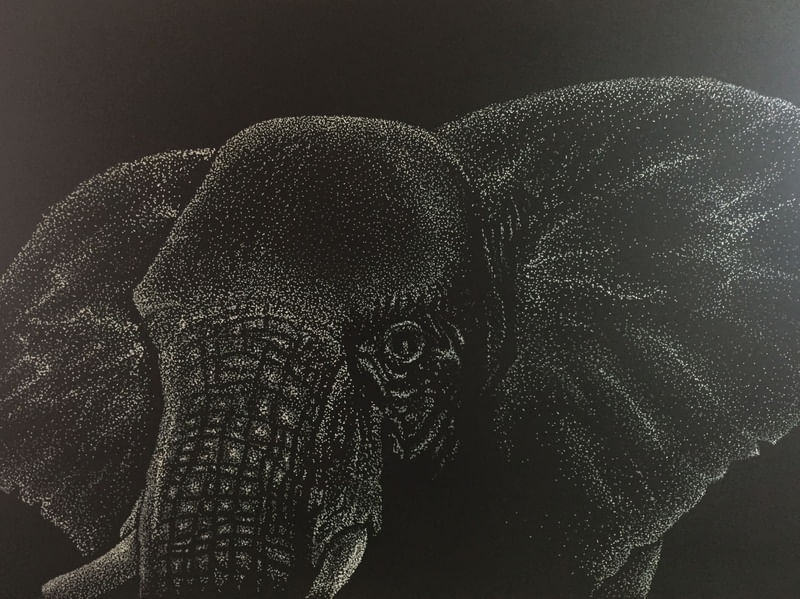EL ELEFANTE